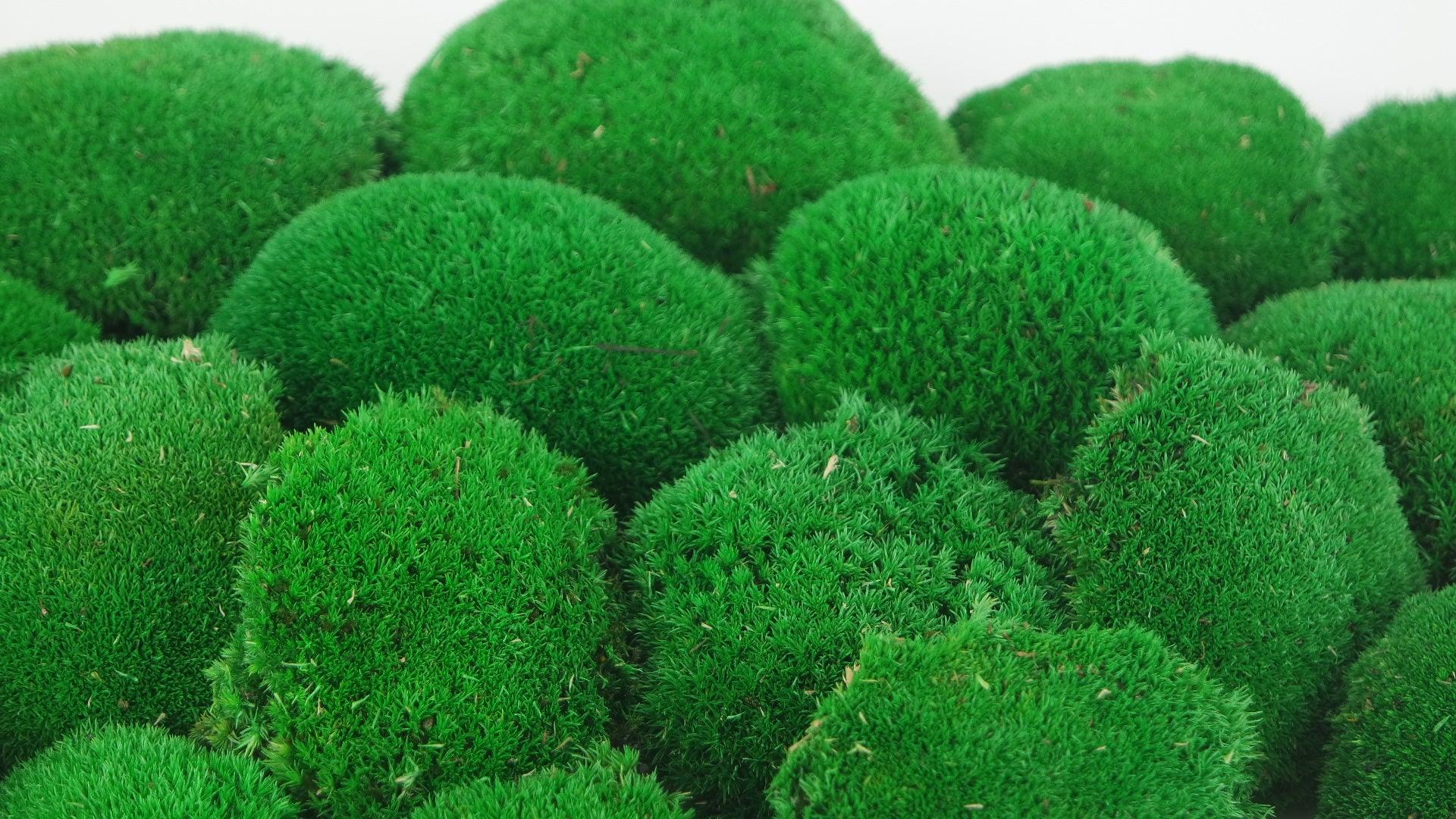 Ball Moss preserved bulk at wholesale price - Si-nature