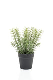 Thymian künstlich 22 cm - 1 Topf - Grün