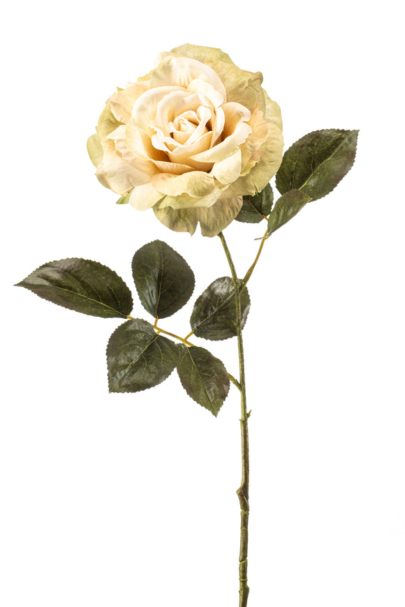Artificial rose pascal - 1 stem - cream