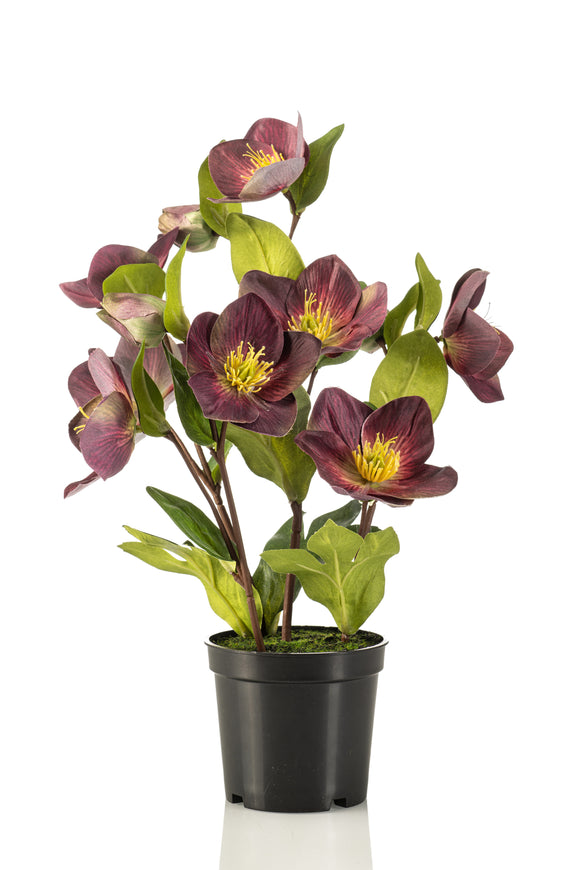 Artificial Helleborus - 1 Pot - Violet