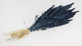 Amarant mit Stängel getrocknet - 1 Strauß - Nachtblau - Si-nature