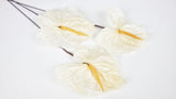 Preserved anthurium Earth matters - 3 pieces - Natural white 011