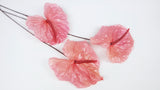 Preserved anthurium Earth matters - 3 pieces - Princess pink 181