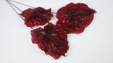 Preserved anthurium Earth matters - 3 pieces - Wine red 471