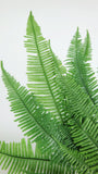 Mountain Fern preserved Earth Matters - 1 bunch - Green 700