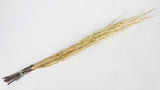 Birch twigs dried - 1 bunch - Gold