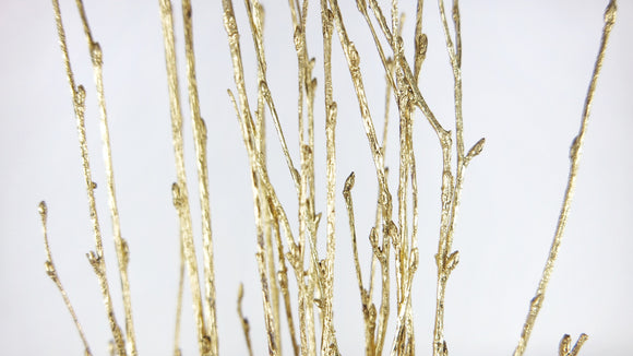 Birch twigs dried - 1 bunch - Gold