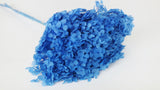Hortensia stabilisé Anna - 1 tête - Bleu