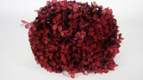 Preserved hydrangea Anna - 1 head - Burgundy