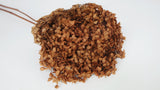 Preserved hydrangea Anna - 1 head - Coffee