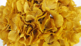 Preserved hydrangea - 1 head - Curry yellow