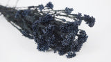 Diosmi preservado - 1 ramo - Azul grisáceo