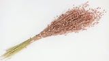 Dried flax - 1 bunch - Blush gold
