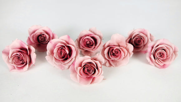 Roses preserved Grandeur Small Earth Matters - 8 heads - Mauve pink 192