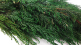 Thuja preserved Earth Matters - 1 bunch - Green 700