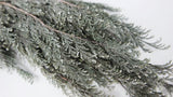 Cypress Hiba preserved Earth Matters - 2 pcs - Wash white 012