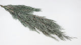 Cypress Hiba preserved Earth Matters - 2 pcs - Wash white 012