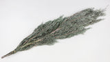 Cypress Hiba preserved Earth Matters - 2 pcs - Wash white 012