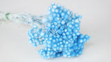 Italian strawflowers - 1 bunch - Baby blue