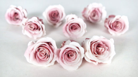 Roses preserved Izumi Souffle Earth Matters - 9 heads - Champagne mauve 092
