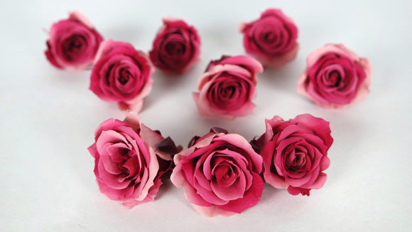 Roses preserved Izumi Souffle Earth Matters - 9 heads - Pink ruby 182