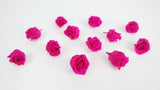 Stabilisierte Rosen Kiara 2 cm - 12 Stück - Hot pink - Si-nature