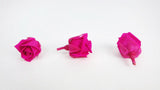 Stabilisierte Rosen Kiara 2 cm - 12 Stück - Hot pink - Si-nature