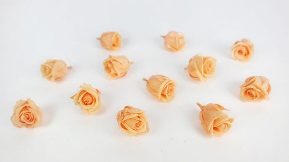 Stabilisierte Rosen Kiara 2 cm - 12 Stück - Perfect peach - Si-nature