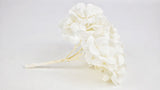 Preserved hydrangea Plus Kiara- 1 head - Pure white