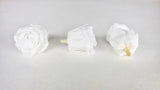 Preserved roses Kiara 5 cm - 8 rose heads - Pure white