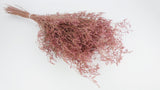Dried limonium - 1 bunch XL - Vintage pink