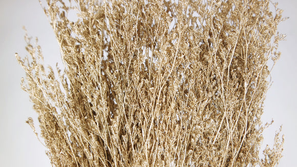 Dried limonium - 1 bunch - Gold