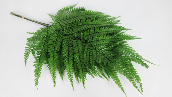 Fern preserved Earth Matters - 5 stems - Green 700