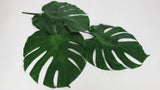 Monstera stabilisé - 3 grandes feuilles - Vert