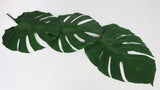 Monstera stabilisé - 3 grandes feuilles - Vert
