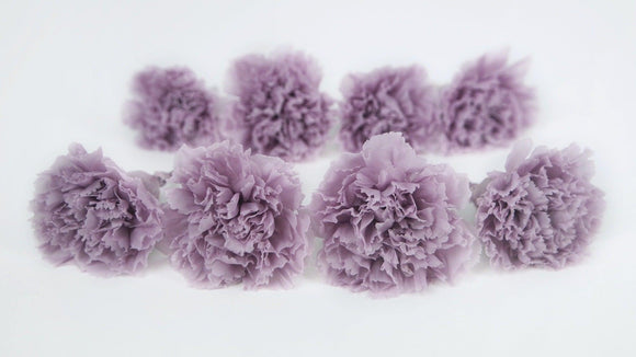 Carnations preserved Earth Matters - 8 pieces - Powder lilac 431