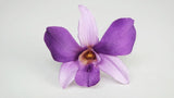 Orchid Dendrobium Sonia preserved Earth Matters - 6 heads - Purple 400