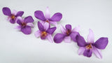 Orchid Dendrobium Sonia preserved Earth Matters - 6 heads - Purple 400