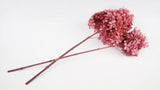 Preserved hydrangea Peegee Earth Matters - 1 head - Pink 100
