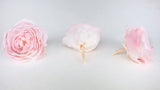 Roses anglaises stabilisées Elena Earth Matters - 6 têtes - Chiffon pink 100