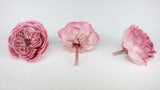 Englische Rosen konserviert Elena Earth Matters - 6 Köpfe - Opera mauve 190