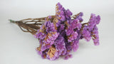 Statice preserved - 1 bunch - Lila