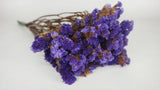 Statice preserved - 1 bunch - Dark purple