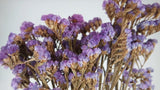 Statice preserved - 1 bunch - Lila