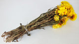 Dried strawflowers Granvia - 1 bunch - Natural colour yellow