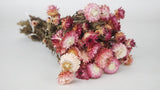 Dried strawflowers - 1 bunch - Natural colour light pink
