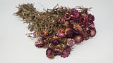 Dried strawflowers basic - 1 bunch - Purple
