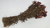 Dried strawflowers basic - 1 bunch - Purple