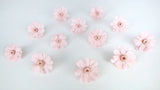 Zinnia preserved Earth Matters - 12 heads - Sakura pink 101