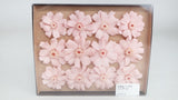 Zinnia preserved Earth Matters - 12 heads - Sakura pink 101